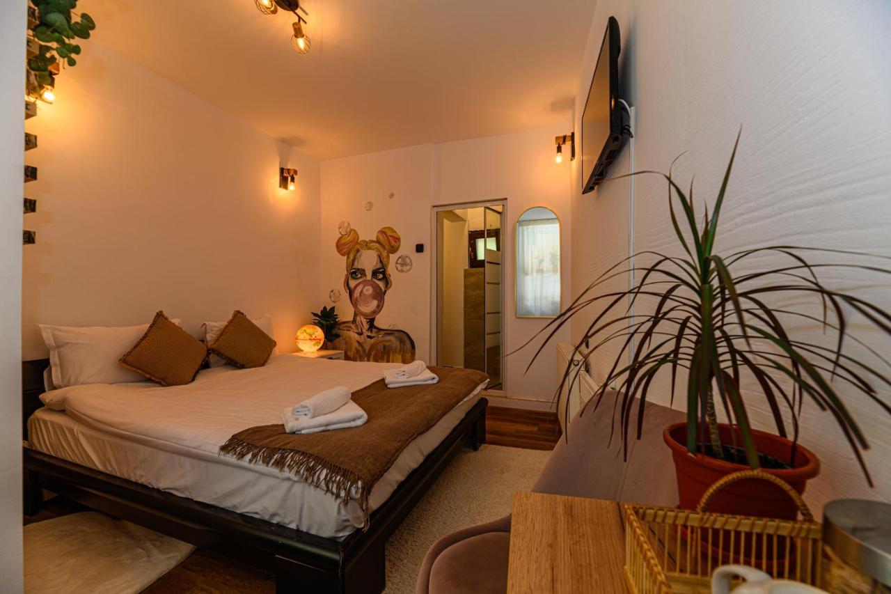 Backpacker'S Room Brasov Exterior photo